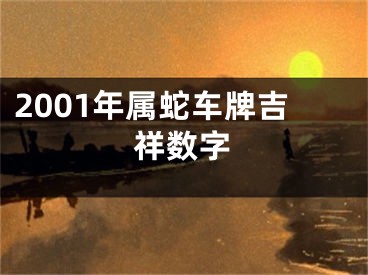 2001年属蛇车牌吉祥数字