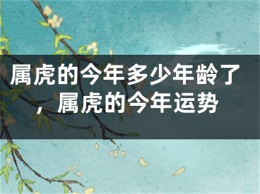 属虎的今年多少年龄了，属虎的今年运势