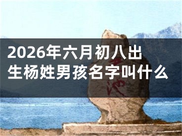 2026年六月初八出生杨姓男孩名字叫什么