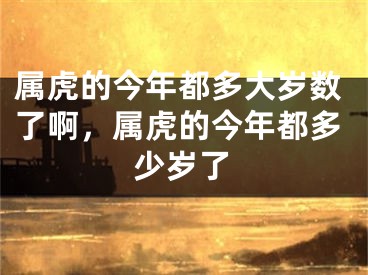 属虎的今年都多大岁数了啊，属虎的今年都多少岁了