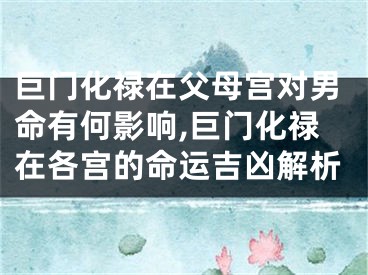巨门化禄在父母宫对男命有何影响,巨门化禄在各宫的命运吉凶解析