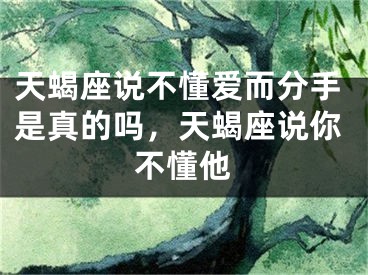 天蝎座说不懂爱而分手是真的吗，天蝎座说你不懂他