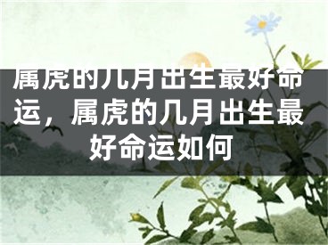 属虎的几月出生最好命运，属虎的几月出生最好命运如何