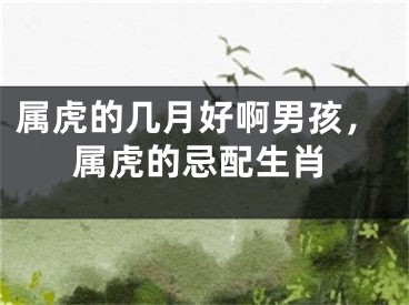 属虎的几月好啊男孩，属虎的忌配生肖