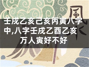壬戌乙亥己亥丙寅八字中,八字壬戌乙酉乙亥万人寅好不好