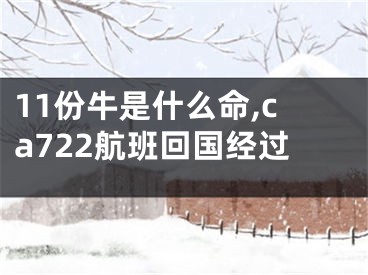 11份牛是什么命,ca722航班回国经过