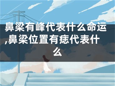 鼻梁有峰代表什么命运,鼻梁位置有痣代表什么