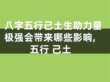 八字五行己土生助力量极强会带来哪些影响,五行 己土