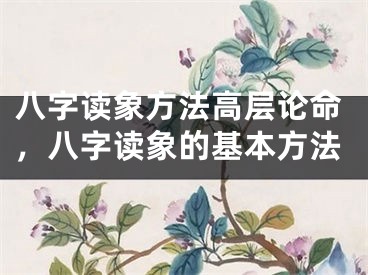 八字读象方法高层论命,八字读象的基本方法