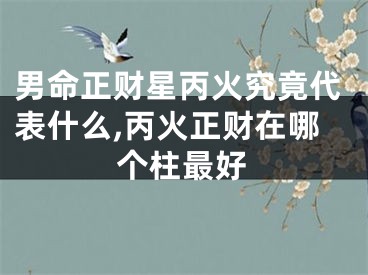 男命正财星丙火究竟代表什么,丙火正财在哪个柱最好