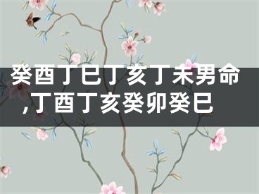 癸酉丁巳丁亥丁未男命,丁酉丁亥癸卯癸巳