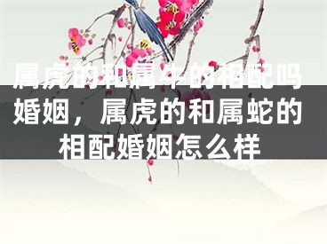 属虎的和属牛的相配吗婚姻，属虎的和属蛇的相配婚姻怎么样