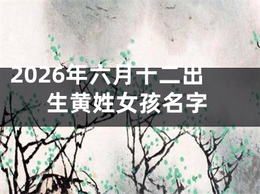 2026年六月十二出生黄姓女孩名字