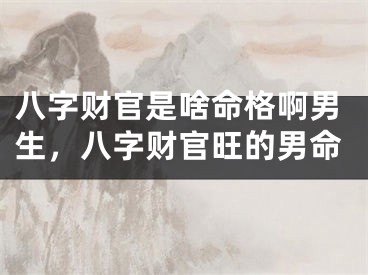 八字财官是啥命格啊男生，八字财官旺的男命