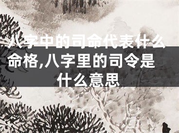 八字中的司命代表什么命格,八字里的司令是什么意思