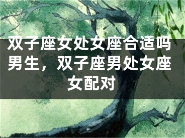 双子座女处女座合适吗男生，双子座男处女座女配对