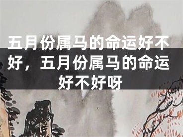 五月份属马的命运好不好，五月份属马的命运好不好呀