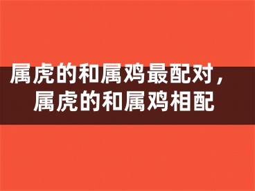 属虎的和属鸡最配对，属虎的和属鸡相配
