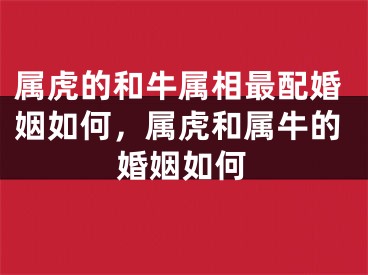 属虎的和牛属相最配婚姻如何，属虎和属牛的婚姻如何