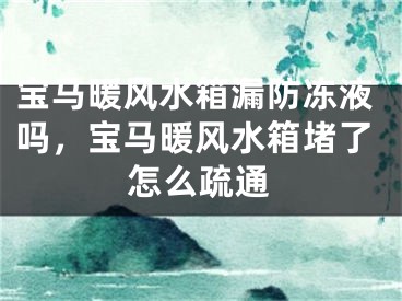 宝马暖风水箱漏防冻液吗，宝马暖风水箱堵了怎么疏通