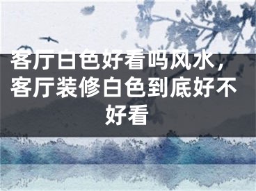 客厅白色好看吗风水,客厅装修白色到底好不好看