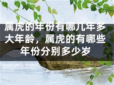 属虎的年份有哪几年多大年龄，属虎的有哪些年份分别多少岁