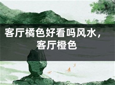 客厅橘色好看吗风水,客厅橙色
