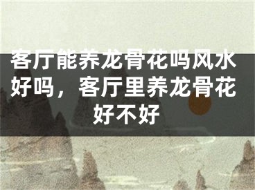 客厅能养龙骨花吗风水好吗,客厅里养龙骨花好不好