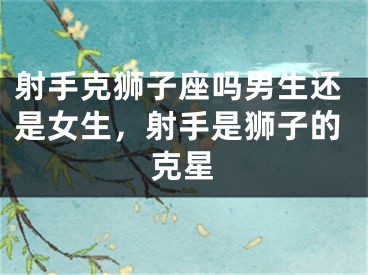 射手克狮子座吗男生还是女生，射手是狮子的克星