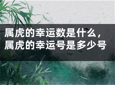 属虎的幸运数是什么，属虎的幸运号是多少号