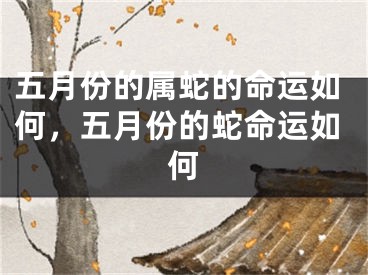 五月份的属蛇的命运如何，五月份的蛇命运如何