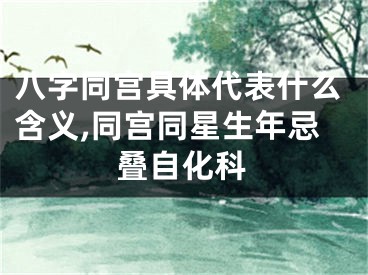 八字同宫具体代表什么含义,同宫同星生年忌叠自化科
