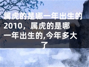 属虎的是哪一年出生的2010,属虎的是哪一年出生的,今年多大了