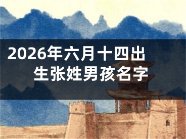 2026年六月十四出生张姓男孩名字
