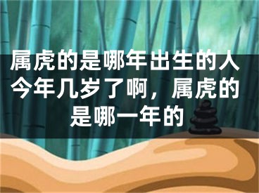 属虎的是哪年出生的人今年几岁了啊，属虎的是哪一年的