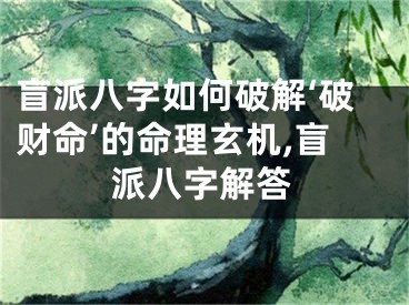 盲派八字如何破解‘破财命’的命理玄机,盲派八字解答