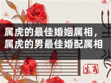 属虎的最佳婚姻属相，属虎的男最佳婚配属相