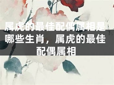 属虎的最佳配偶属相是哪些生肖，属虎的最佳配偶属相