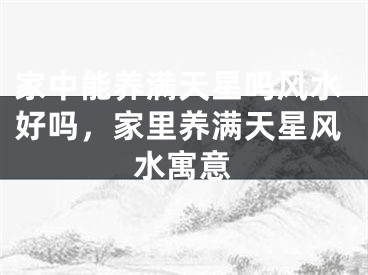 家中能养满天星吗风水好吗，家里养满天星风水寓意