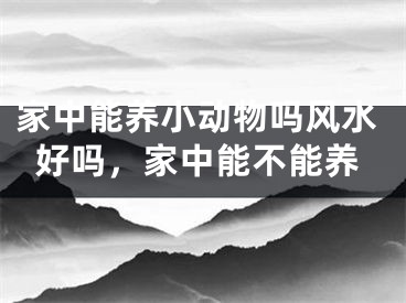 家中能养小动物吗风水好吗，家中能不能养
