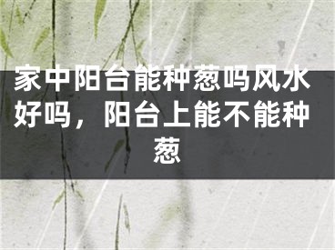 家中阳台能种葱吗风水好吗,阳台上能不能种葱