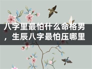 八字里最怕什么命格男,生辰八字最怕压哪里