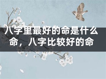 八字里最好的命是什么命,八字比较好的命
