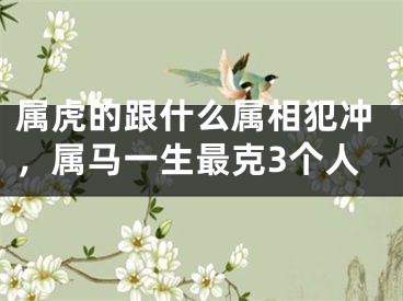 属虎的跟什么属相犯冲,属马一生最克3个人