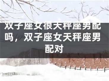 双子座女很天秤座男配吗，双子座女天秤座男配对