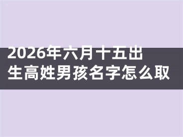 2026年六月十五出生高姓男孩名字怎么取