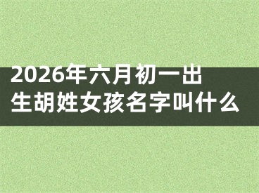 2026年六月初一出生胡姓女孩名字叫什么