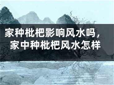 家种枇杷影响风水吗,家中种枇杷风水怎样