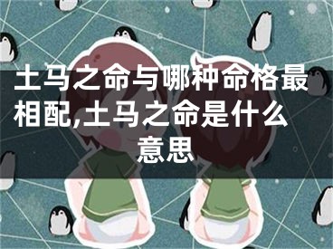 土马之命与哪种命格最相配,土马之命是什么意思