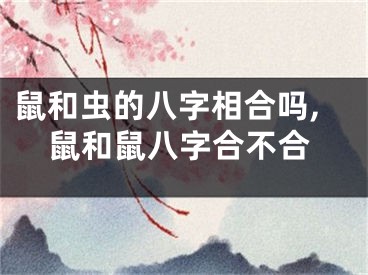 鼠和虫的八字相合吗,鼠和鼠八字合不合